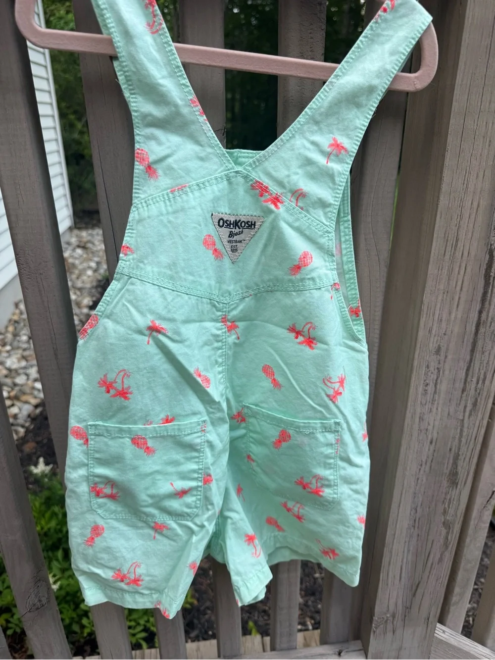 OshKosh B'gosh Mint Green Short Overalls with Pink Pineapple Print